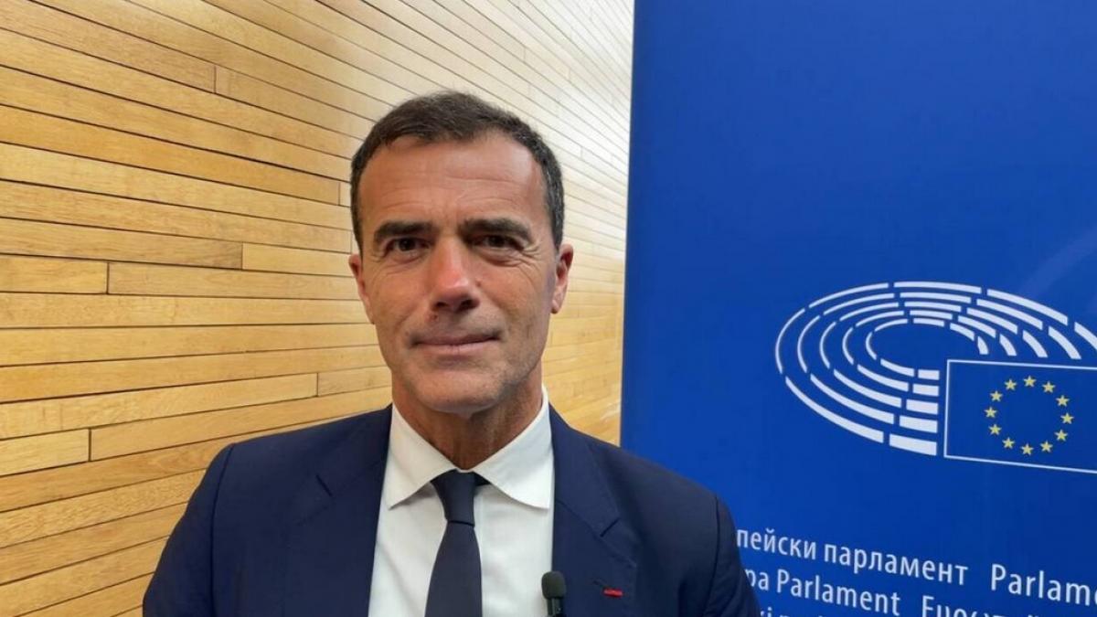 Sandro Gozi Parlement européen 2019